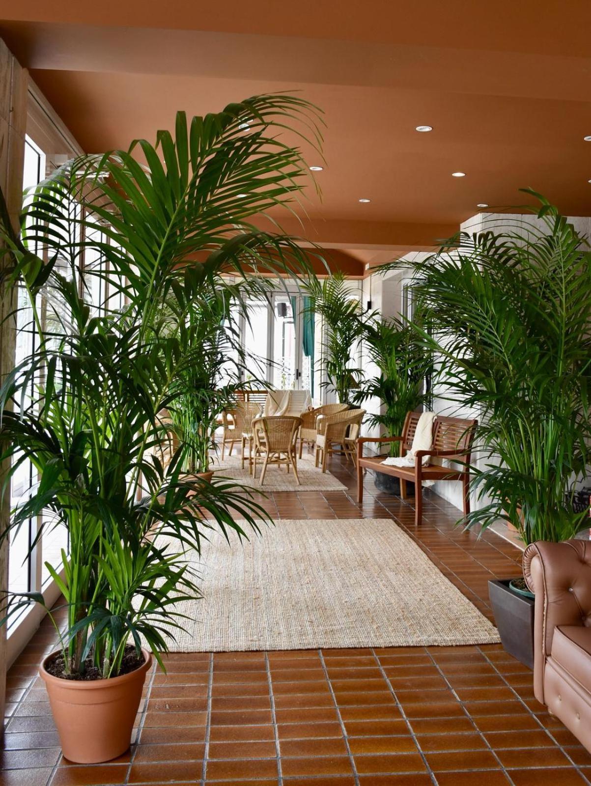 Hotel Portofino Lido di Jesolo Bagian luar foto